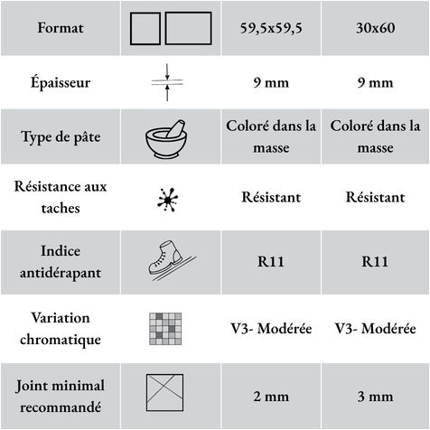 Caractéristiques techniques du carrelage d’extérieur en grès Artica Brandy Roc